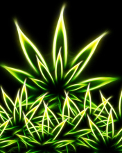 Das Marijuana Wallpaper 176x220