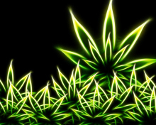 Marijuana wallpaper 220x176