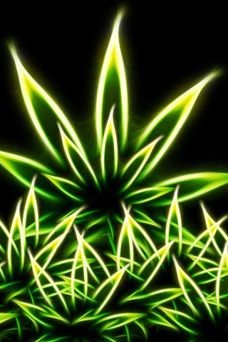 Fondo de pantalla Marijuana 320x480