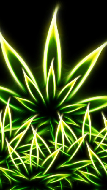Das Marijuana Wallpaper 360x640