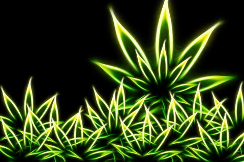 Fondo de pantalla Marijuana 480x320