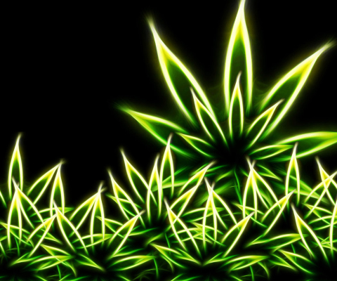 Fondo de pantalla Marijuana 480x400