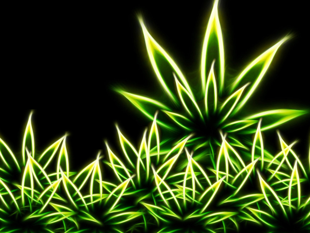 Marijuana wallpaper 640x480