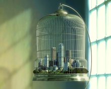 Sfondi Life In Cage 220x176