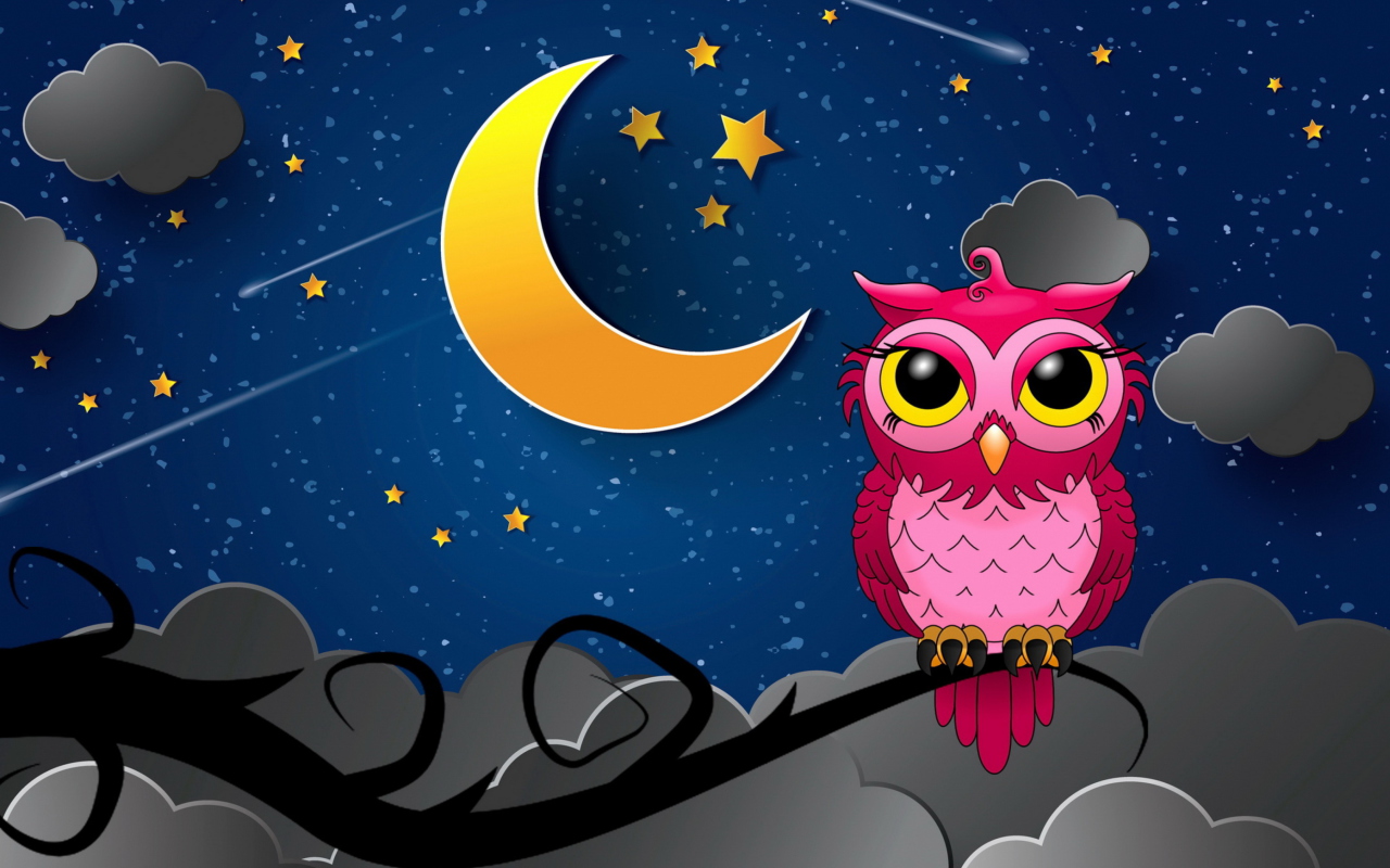 Silent Owl Night wallpaper 1280x800