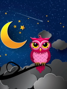 Fondo de pantalla Silent Owl Night 132x176