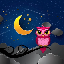 Fondo de pantalla Silent Owl Night 208x208