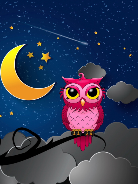 Das Silent Owl Night Wallpaper 480x640