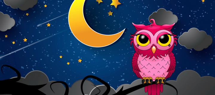 Fondo de pantalla Silent Owl Night 720x320