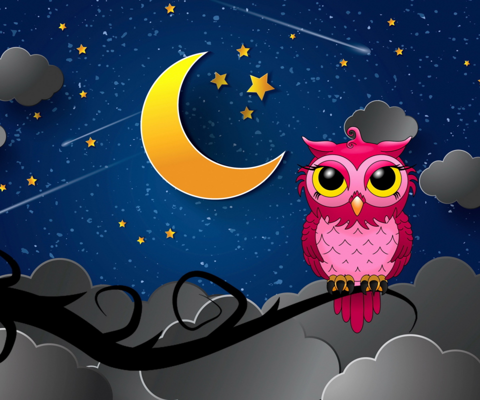 Das Silent Owl Night Wallpaper 960x800