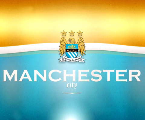 Das Manchester City FC Wallpaper 480x400