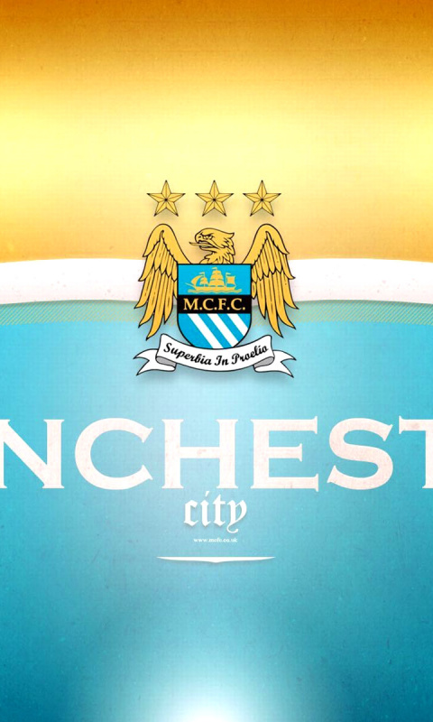 Manchester City FC screenshot #1 480x800