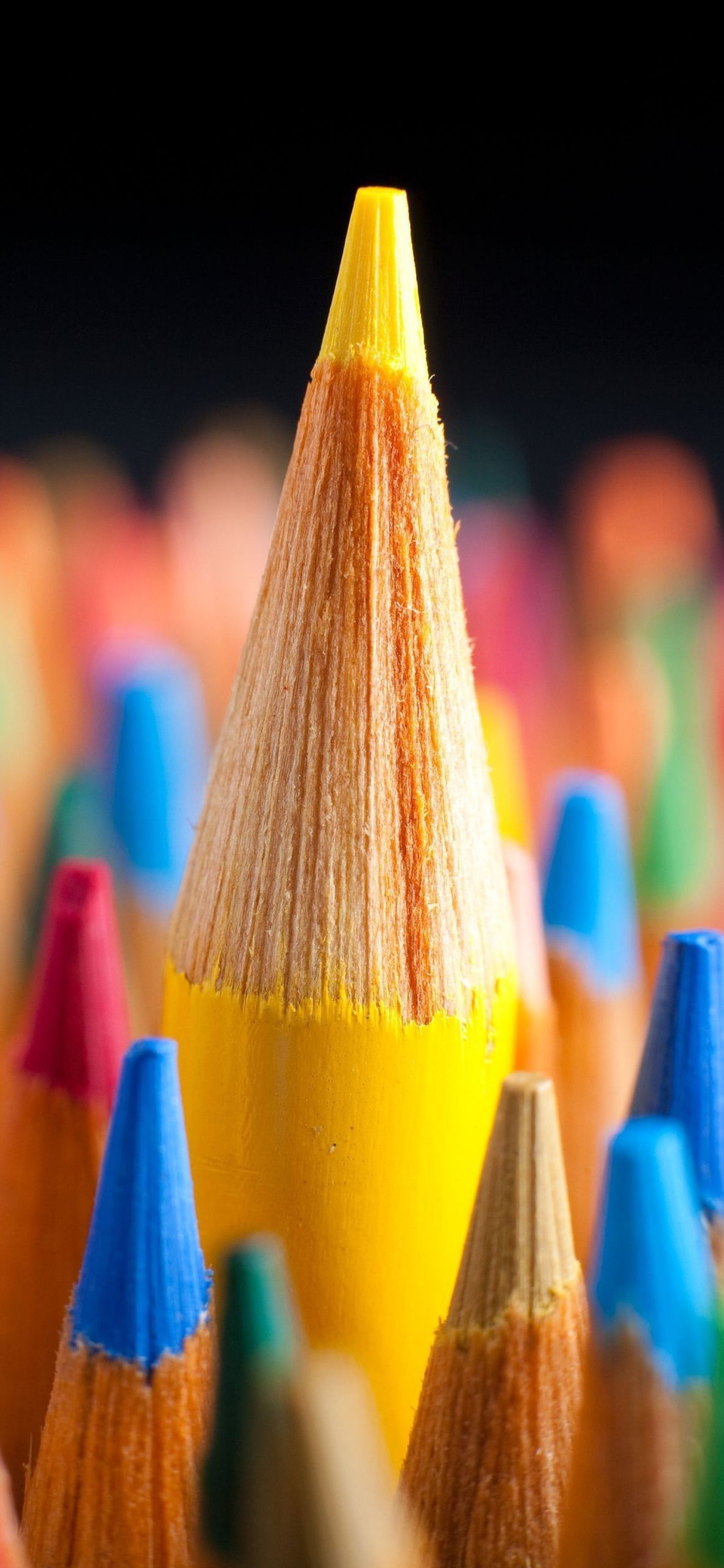 Das Colored pencils Wallpaper 1170x2532