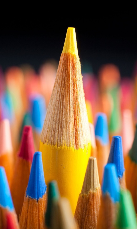 Colored pencils wallpaper 480x800