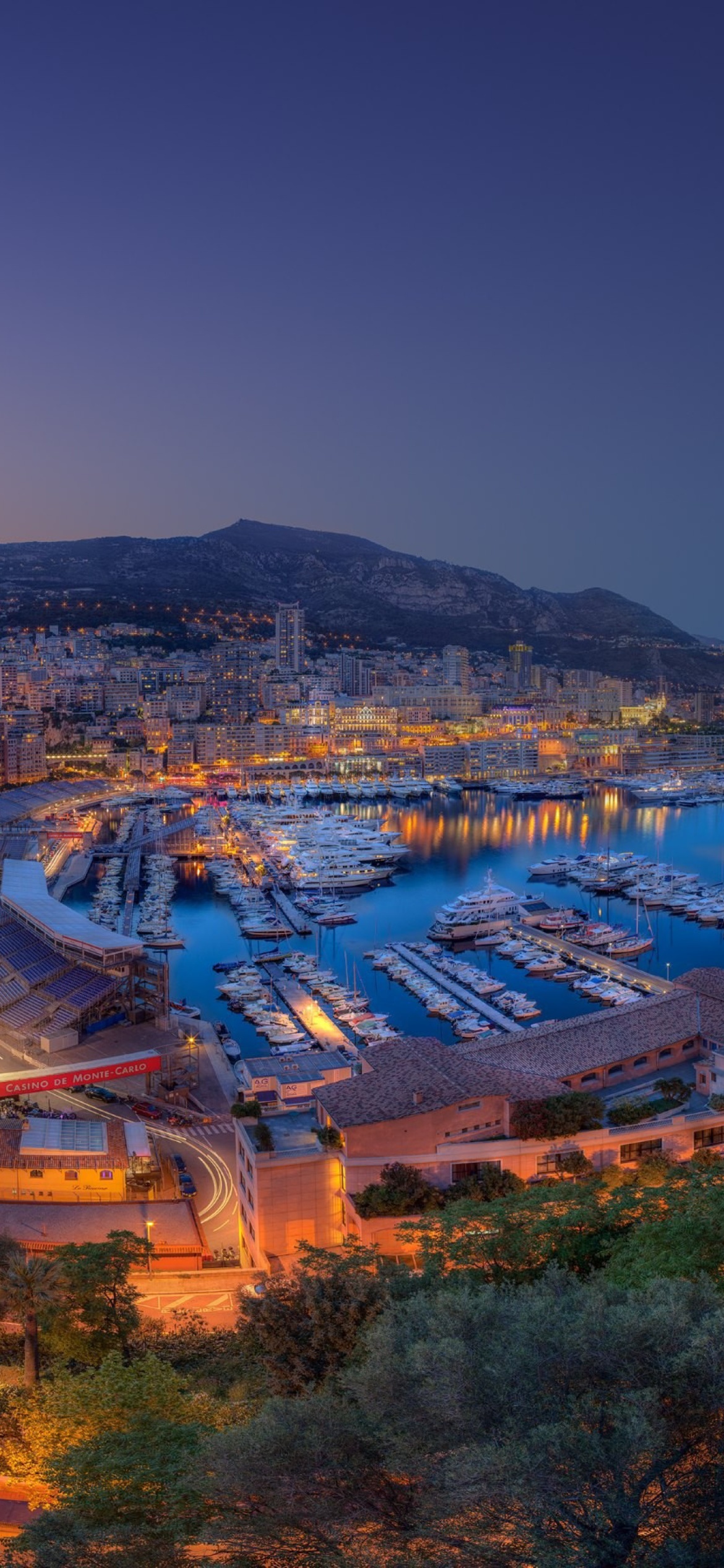 Monaco Grand Prix screenshot #1 1170x2532