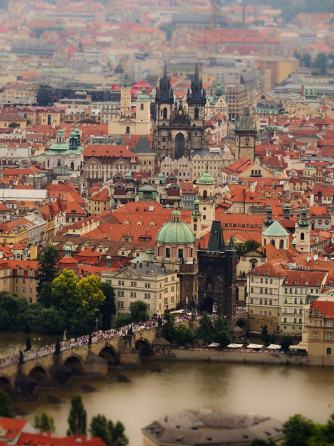 Fondo de pantalla Prague, Czech Republic, Vltava River 480x640