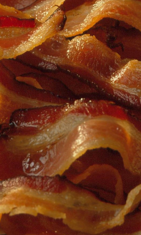 Sfondi Crispy Bacon 480x800