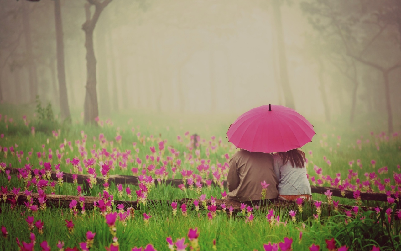 Couple Under Pink Umbrella screenshot #1 1280x800