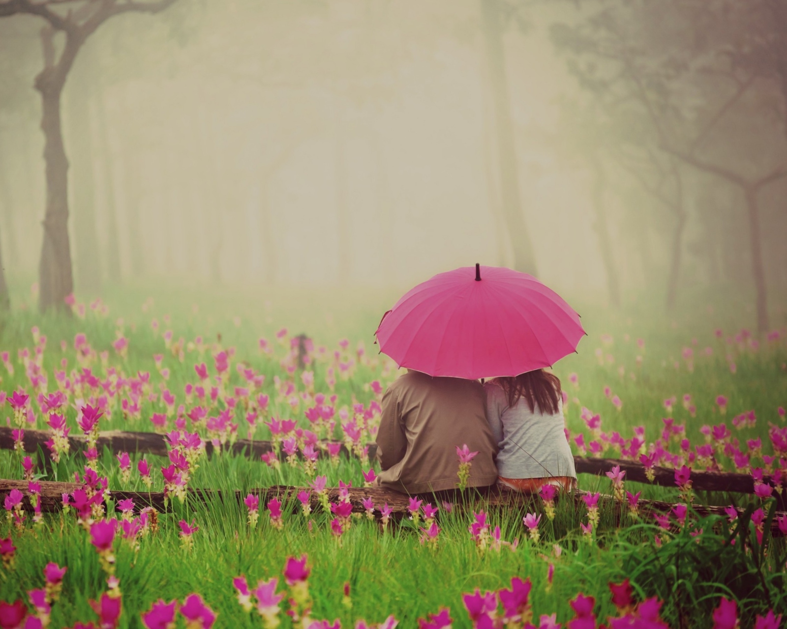Обои Couple Under Pink Umbrella 1600x1280