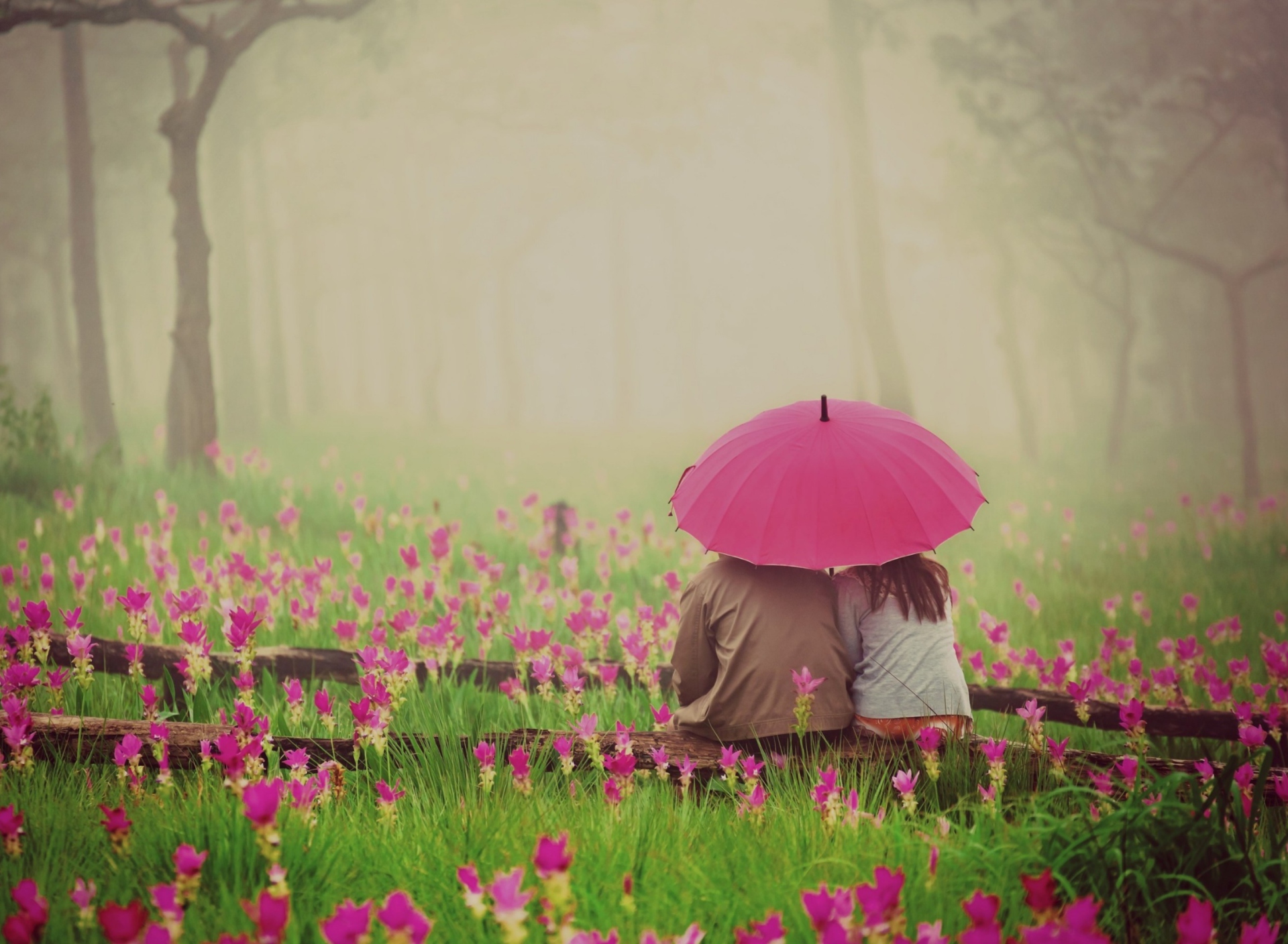 Обои Couple Under Pink Umbrella 1920x1408