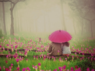 Das Couple Under Pink Umbrella Wallpaper 320x240