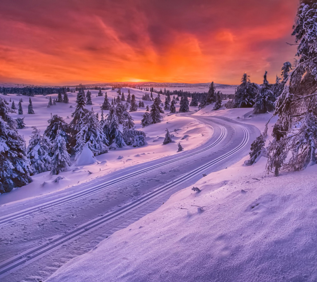 Toboggan road in Scandinavia screenshot #1 1080x960