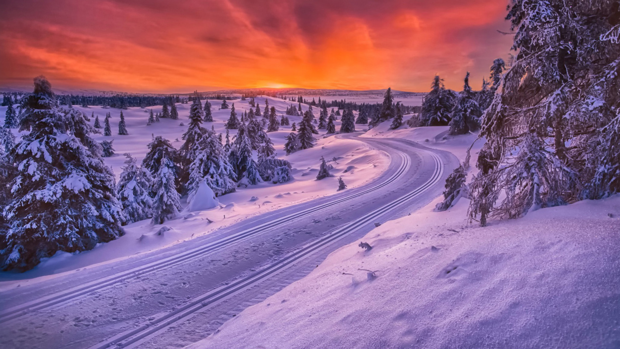 Toboggan road in Scandinavia wallpaper 1280x720