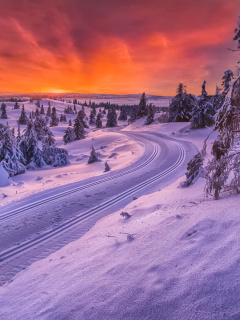 Toboggan road in Scandinavia screenshot #1 240x320