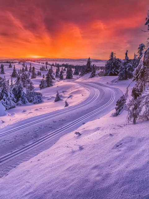 Toboggan road in Scandinavia screenshot #1 480x640