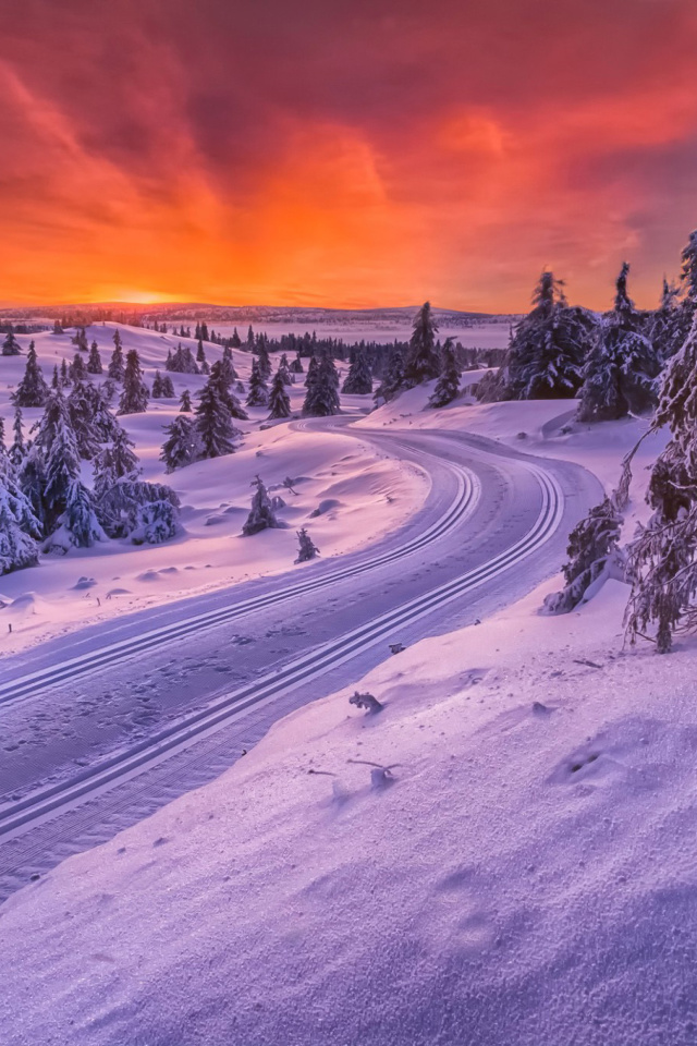 Das Toboggan road in Scandinavia Wallpaper 640x960