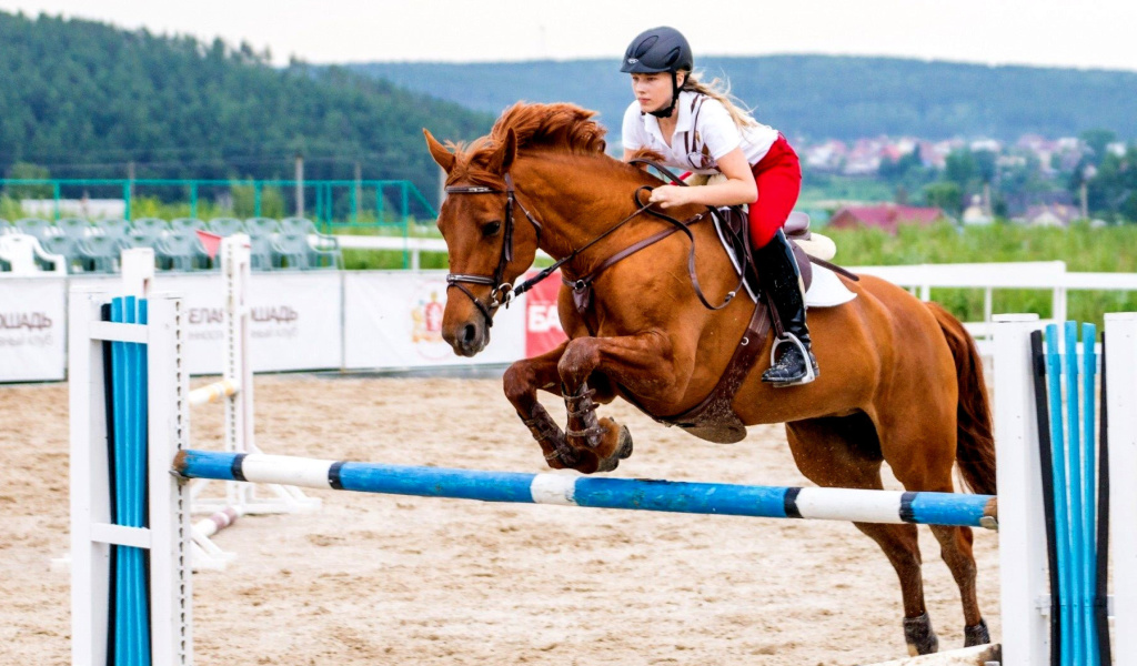 Fondo de pantalla Equestrian Sport, Equitation 1024x600