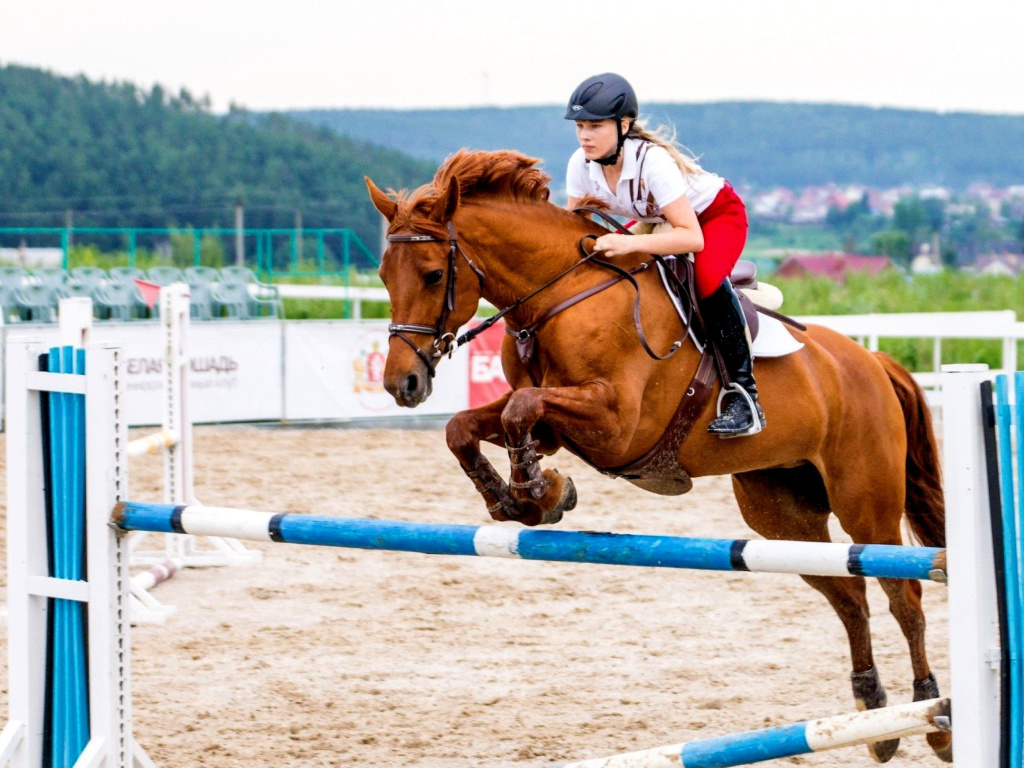 Fondo de pantalla Equestrian Sport, Equitation 1024x768