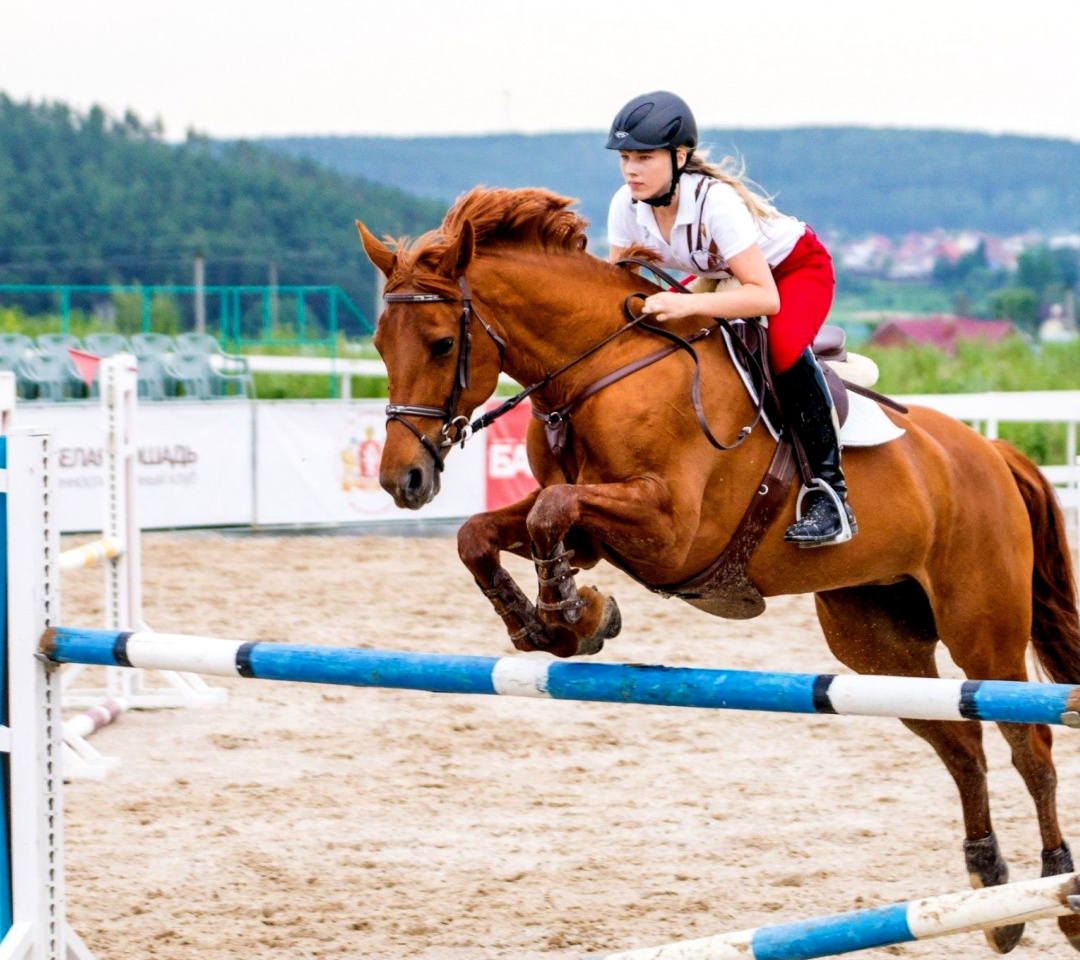 Fondo de pantalla Equestrian Sport, Equitation 1080x960