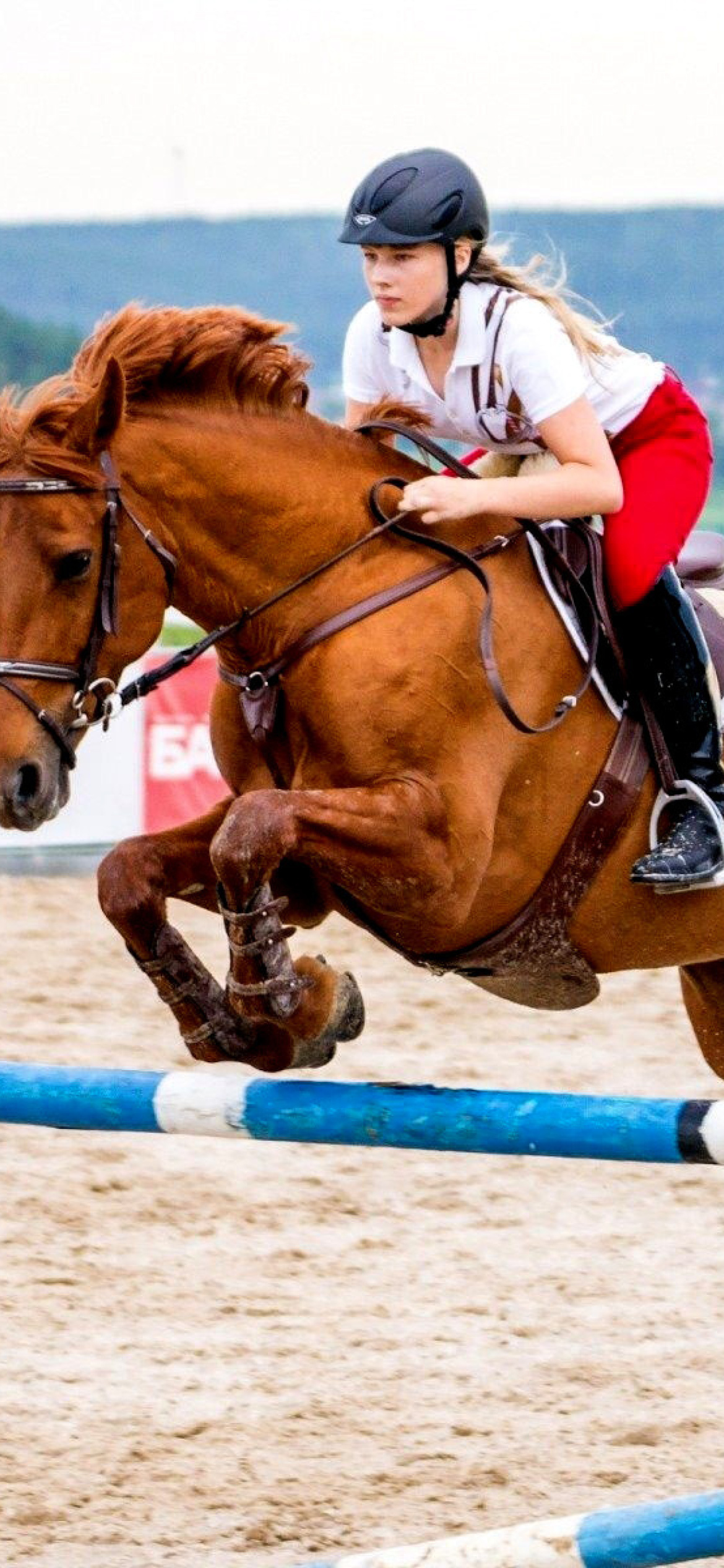 Fondo de pantalla Equestrian Sport, Equitation 1170x2532