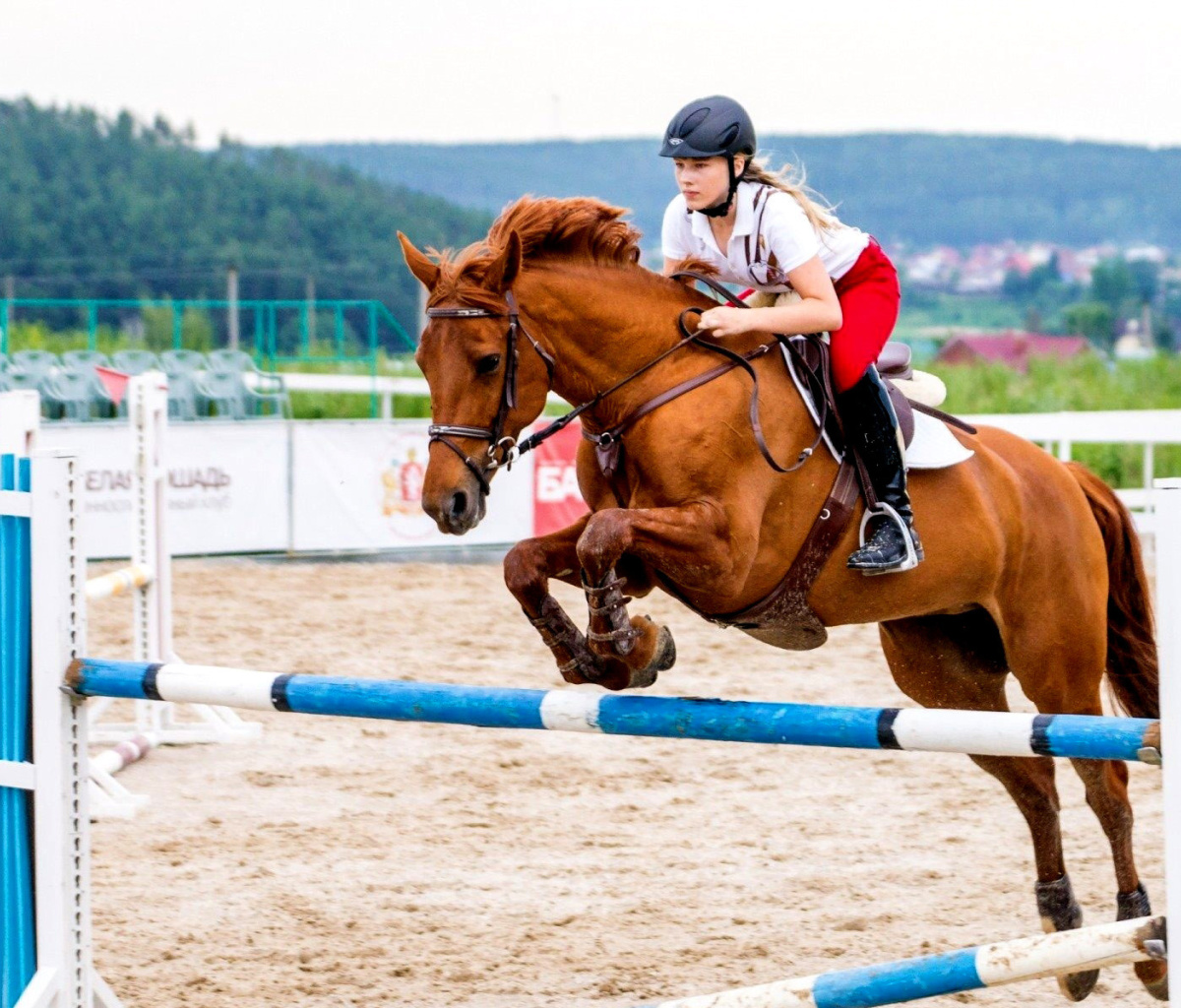 Screenshot №1 pro téma Equestrian Sport, Equitation 1200x1024