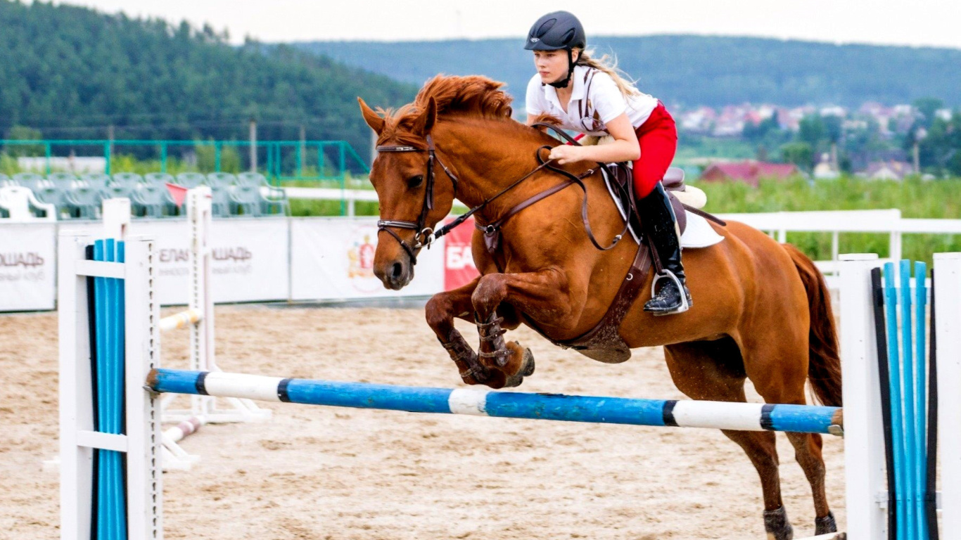 Screenshot №1 pro téma Equestrian Sport, Equitation 1366x768