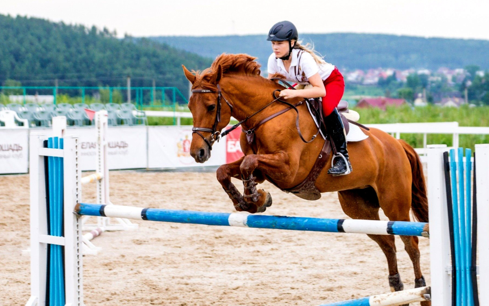 Screenshot №1 pro téma Equestrian Sport, Equitation 1680x1050