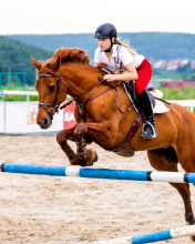 Fondo de pantalla Equestrian Sport, Equitation 176x220