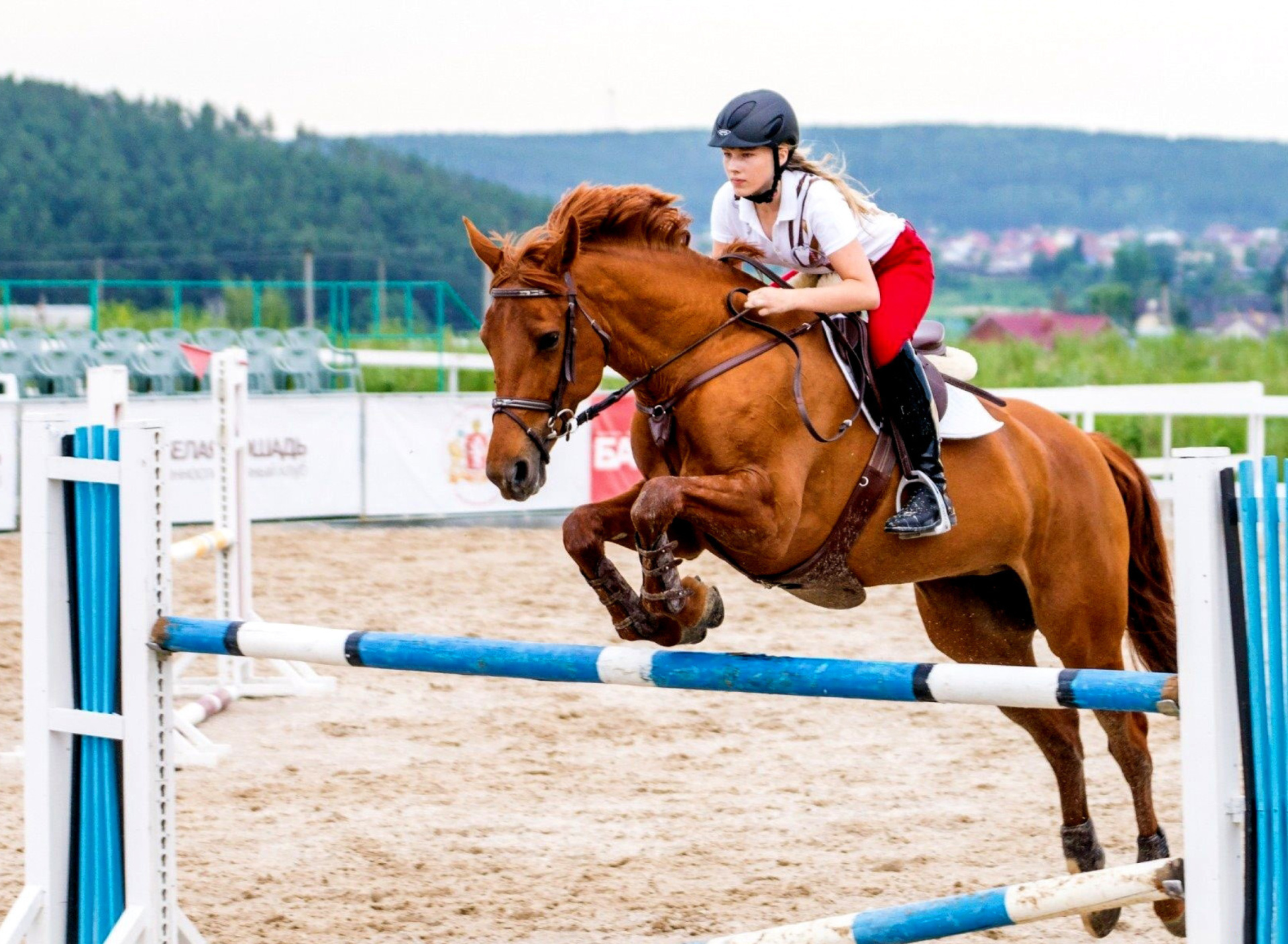 Обои Equestrian Sport, Equitation 1920x1408