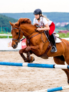 Screenshot №1 pro téma Equestrian Sport, Equitation 240x320