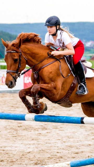 Fondo de pantalla Equestrian Sport, Equitation 360x640