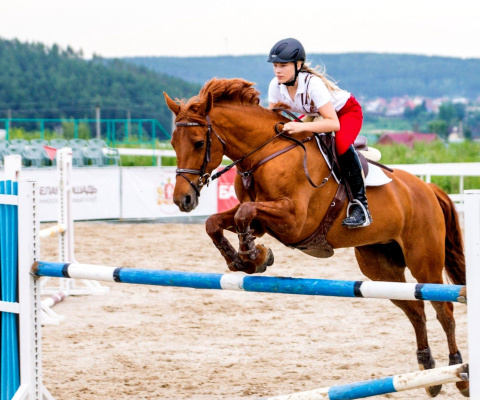 Fondo de pantalla Equestrian Sport, Equitation 480x400