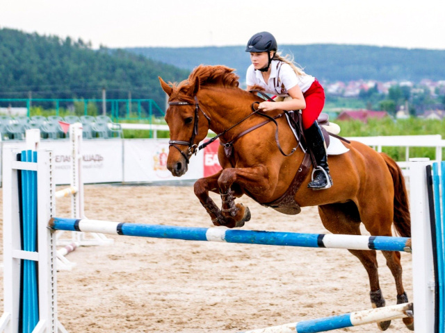 Fondo de pantalla Equestrian Sport, Equitation 640x480