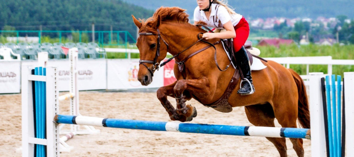 Fondo de pantalla Equestrian Sport, Equitation 720x320