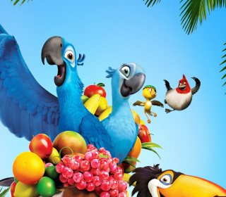 Rio Movie sfondi gratuiti per 2048x2048