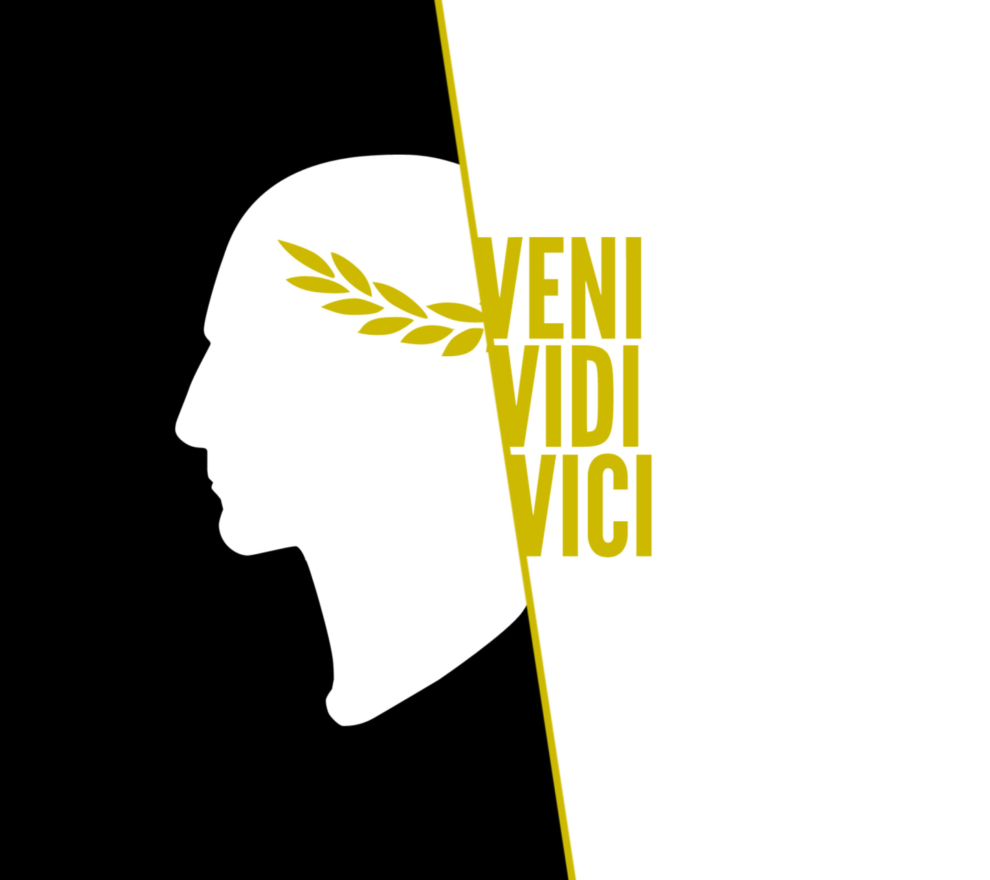Veni Vidi Vici wallpaper 1440x1280