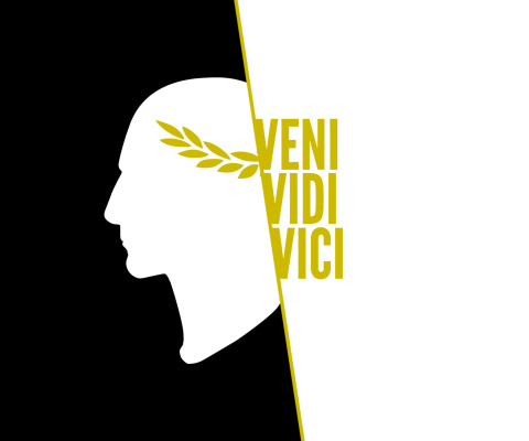 Das Veni Vidi Vici Wallpaper 480x400