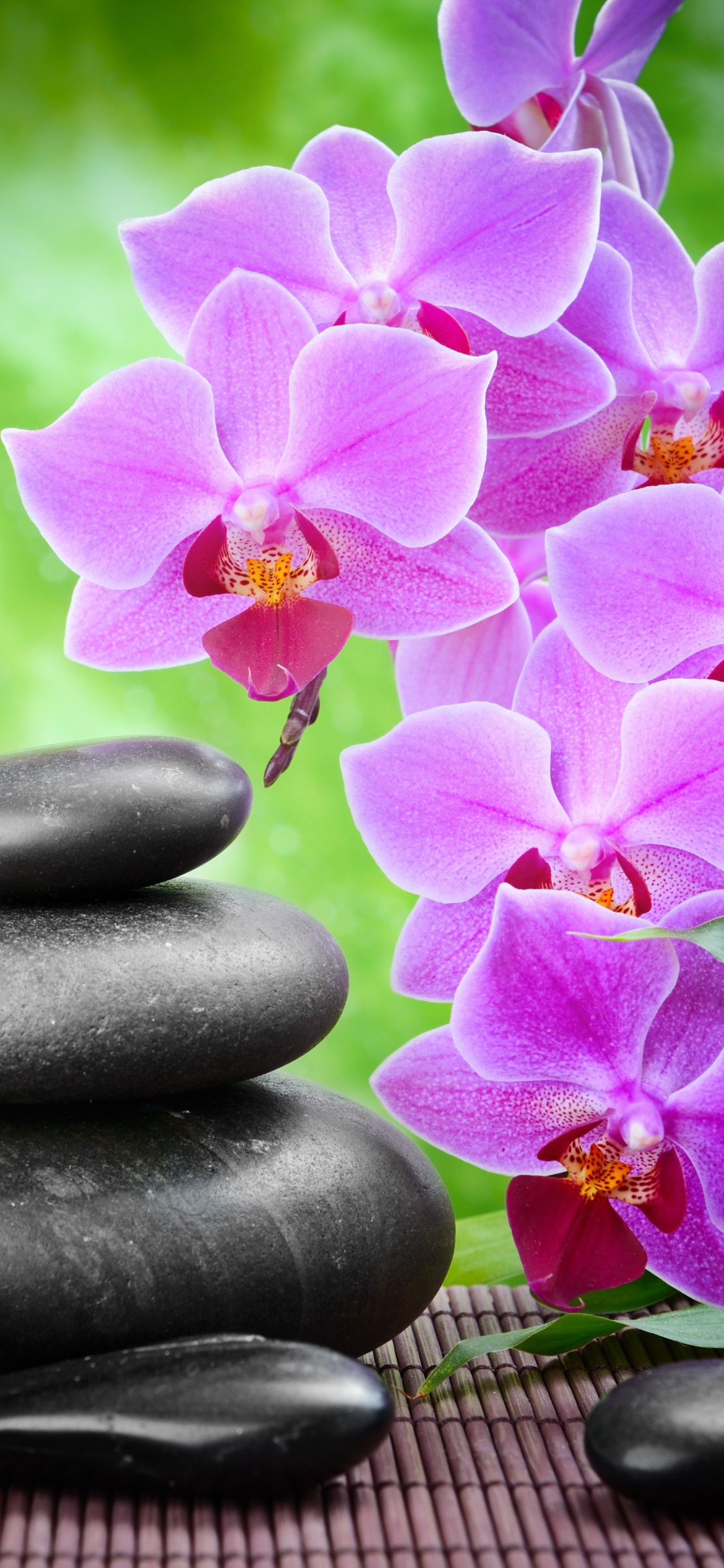 Pebbles, candles and orchids wallpaper 1170x2532