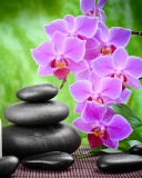 Pebbles, candles and orchids wallpaper 128x160