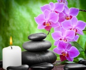 Das Pebbles, candles and orchids Wallpaper 176x144